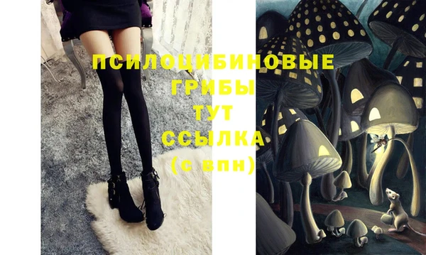 мдма Медвежьегорск