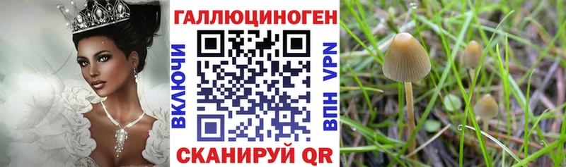 Купить закладки  Долинск  Галлюциногенные грибы GOLDEN TEACHER 
